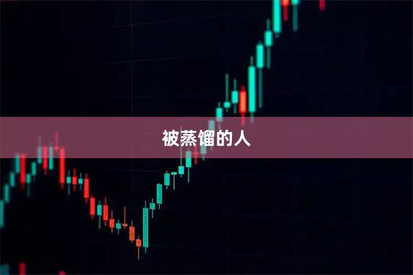 被蒸馏的人